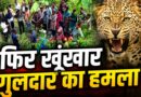 घास काटने गई महिला को गुलदार ने बनाया शिकार! पौड़ी में दहला देने वाला हमला, गांव में दहशत