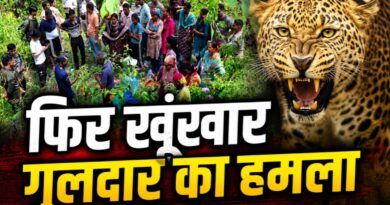 घास काटने गई महिला को गुलदार ने बनाया शिकार! पौड़ी में दहला देने वाला हमला, गांव में दहशत