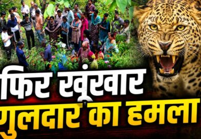 घास काटने गई महिला को गुलदार ने बनाया शिकार! पौड़ी में दहला देने वाला हमला, गांव में दहशत