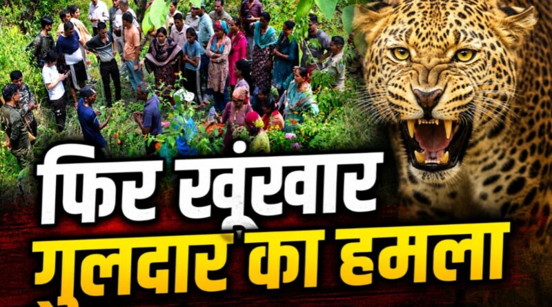 घास काटने गई महिला को गुलदार ने बनाया शिकार! पौड़ी में दहला देने वाला हमला, गांव में दहशत